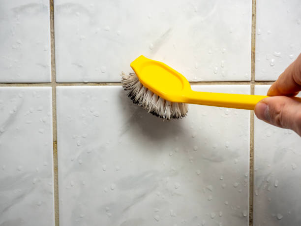 Best Mold Remediation  in Shillington, PA